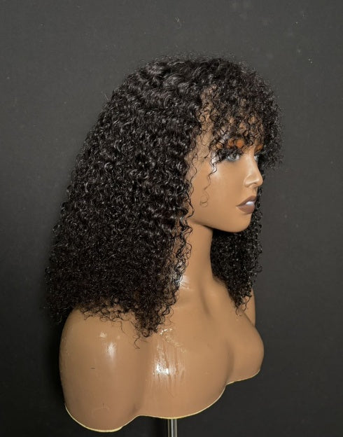 Clearance Sale - 13x6 Lace Front Wig - Curly / Size 1 - BCL152