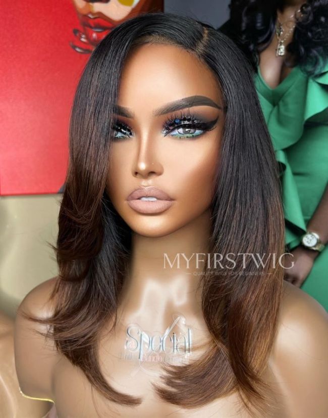 ASPECIALUNIT Ombre Brown Straight Glueless Human Hair Lace Front Wig SPE085