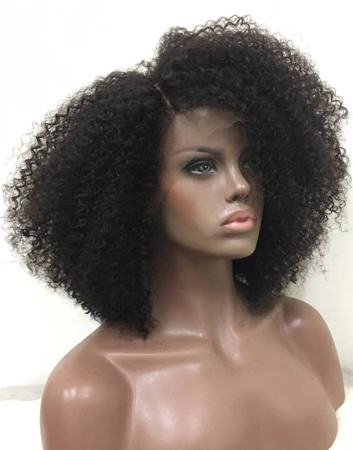 DENISE – IMPROVED MALAYSIAN SHORT CURLY LACE FRONT WIG - LFC003